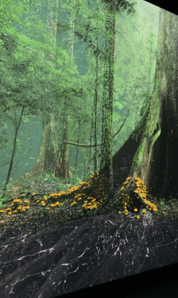 Museum of the future: Dubai, United Arab Emirates: Itineraries, Laws and Viral Chocolates